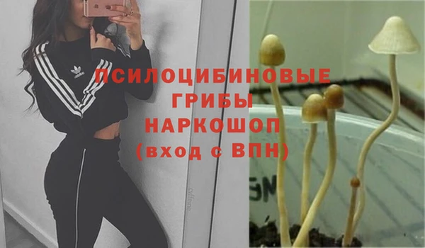 apvp Ахтубинск