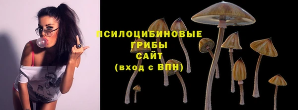 спиды Новозыбков