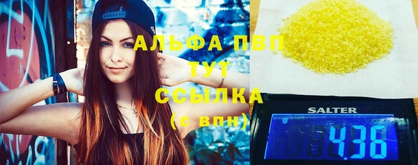 альфа пвп Новодвинск