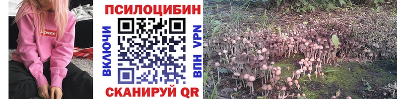 даркнет сайт  Игра  Псилоцибиновые грибы прущие грибы 
